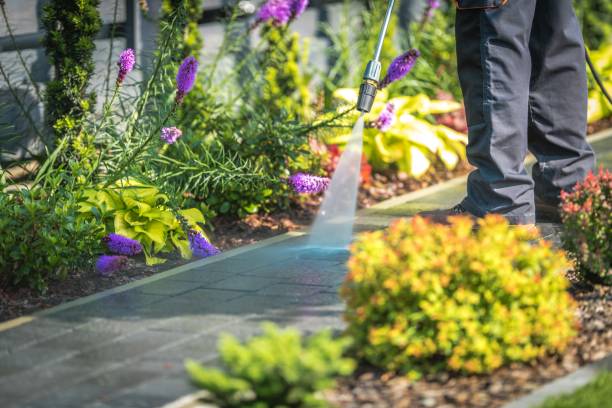Professional Pressure Washing in Churubusco, IN